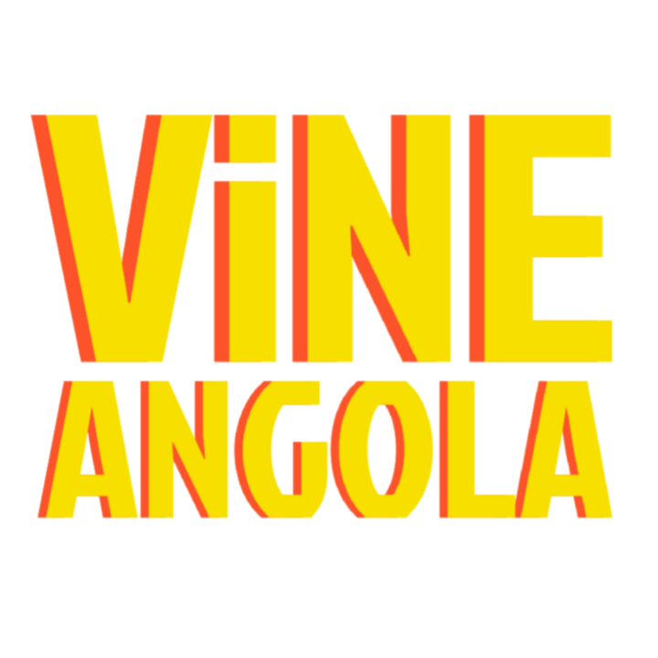 VINE ANGOLA | Editor e criadora digital de conte&uacute;dos audiovisuais ao estilo Lifestyle e Edits
